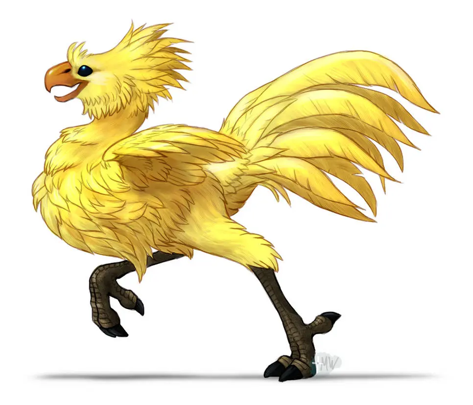 Roncaccia-20231218230719855.webp|p+r hsmall right